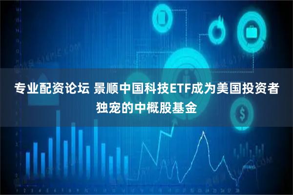 专业配资论坛 景顺中国科技ETF成为美国投资者独宠的中概股基金