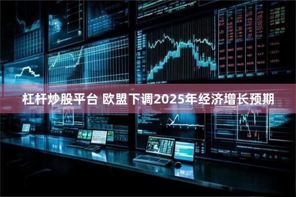 杠杆炒股平台 欧盟下调2025年经济增长预期