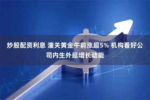 炒股配资利息 潼关黄金午前涨超5% 机构看好公司内生外延增长动能