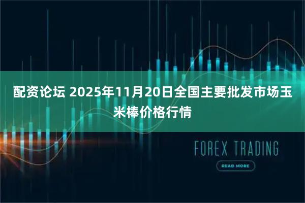配资论坛 2025年11月20日全国主要批发市场玉米棒价格行情